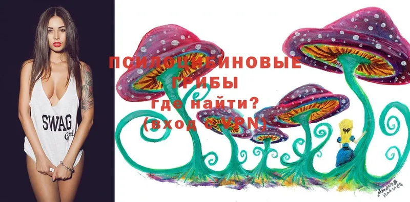 ОМГ ОМГ ССЫЛКА  Надым  Псилоцибиновые грибы Cubensis 